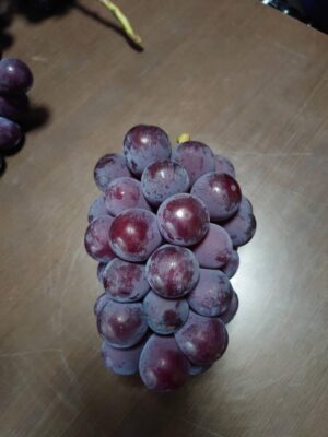 image0_2.jpeg